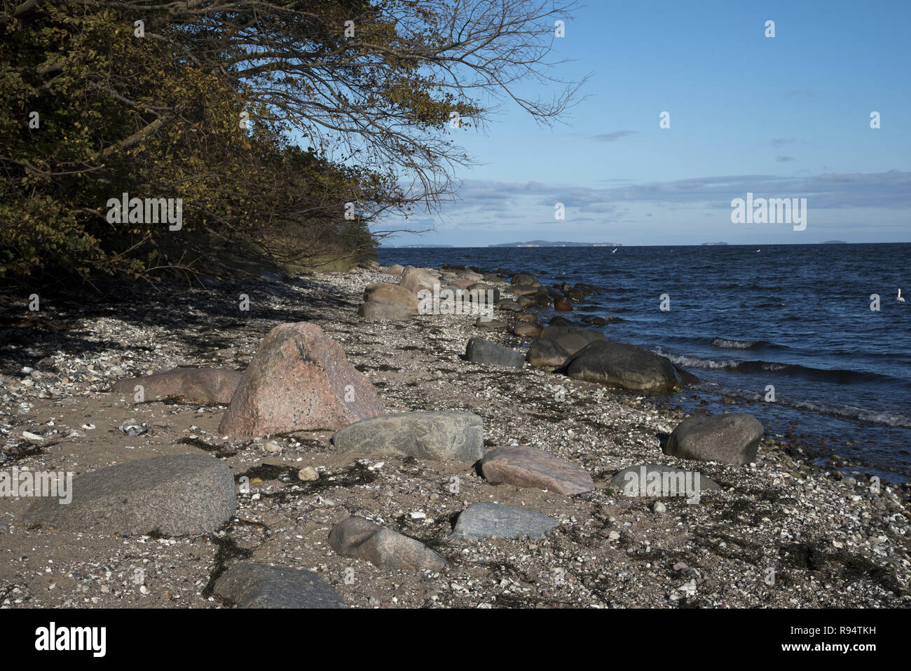 Spiaggia di ghiaia in corrispondenza della costa orientale della penisola Zudar che è il punto più meridionale di Rügen isola. Foto Stock