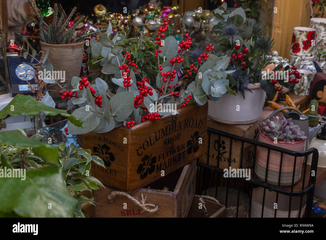 Christmas Festive display e attrezzature da giardino in vendita al di fuori di un negozio , Columbia Road , East London Foto Stock