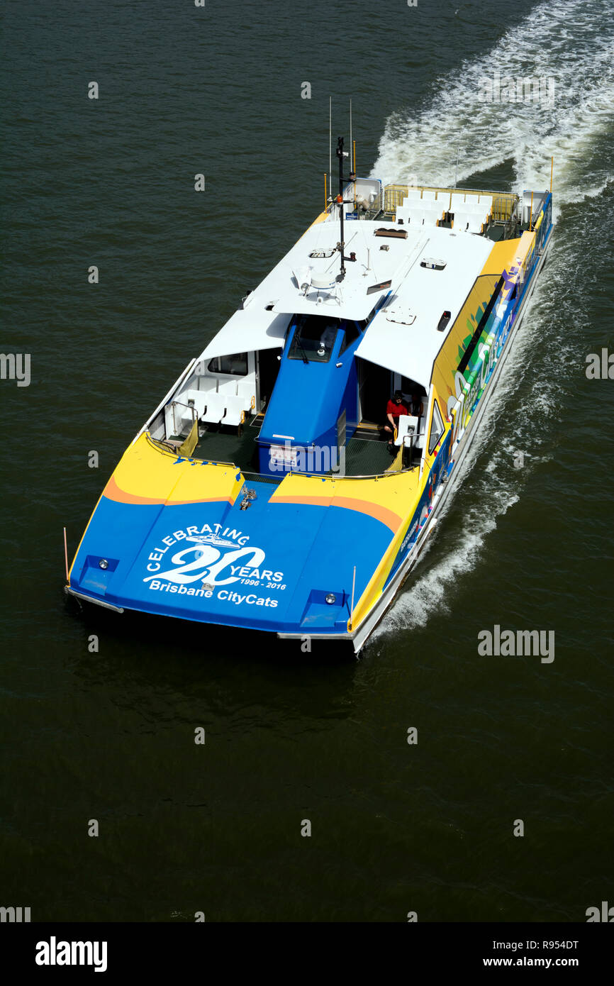 CityCat catamarano sul fiume Brisbane, Brisbane, Queensland, Australia Foto Stock