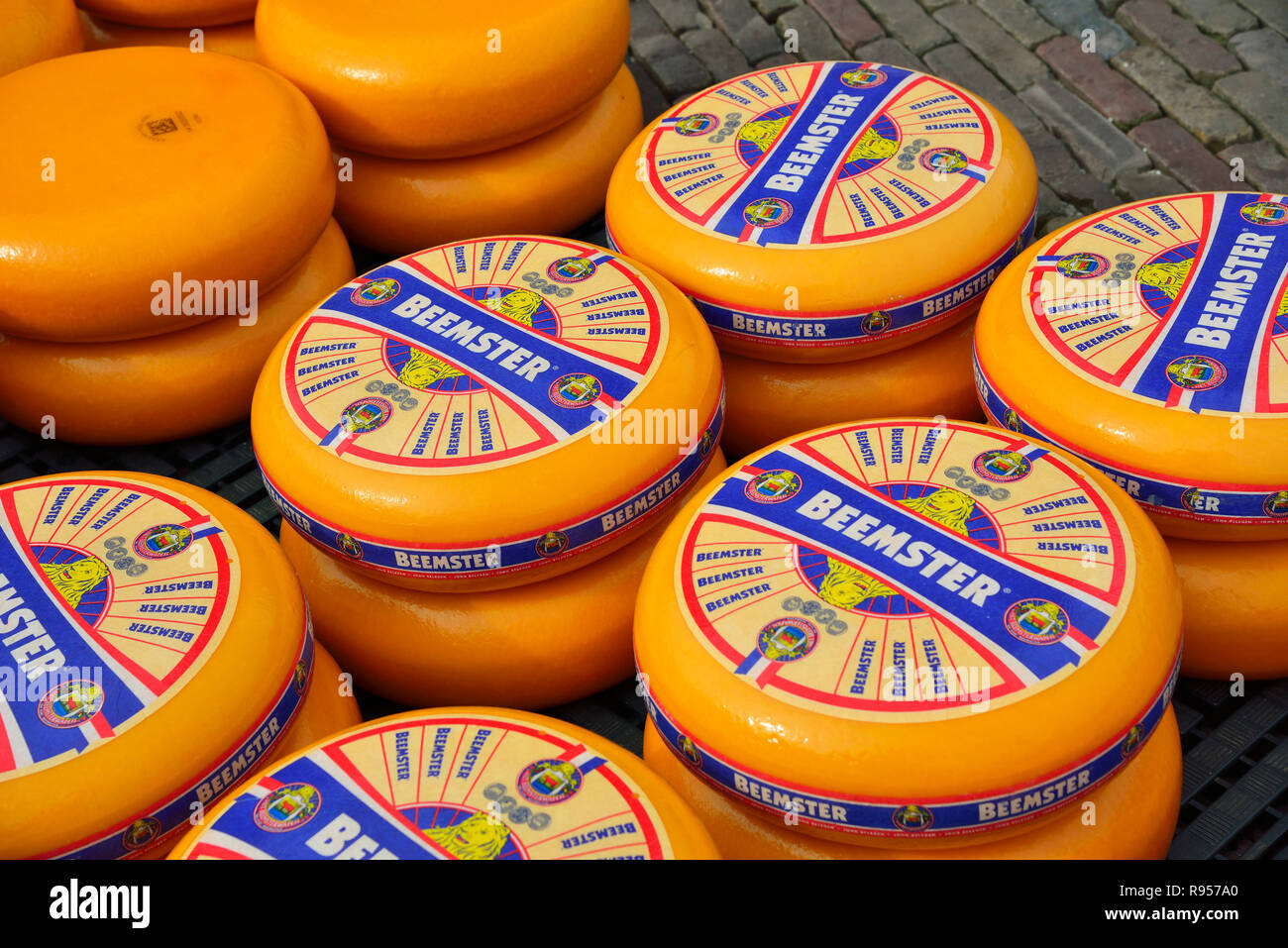 Turni di Beemster formaggio olandese (simile a Gouda) allineati sulla Waagplein durante il tradizionale mercato del formaggio svoltasi a Alkmaar, Holland, Paesi Bassi Foto Stock