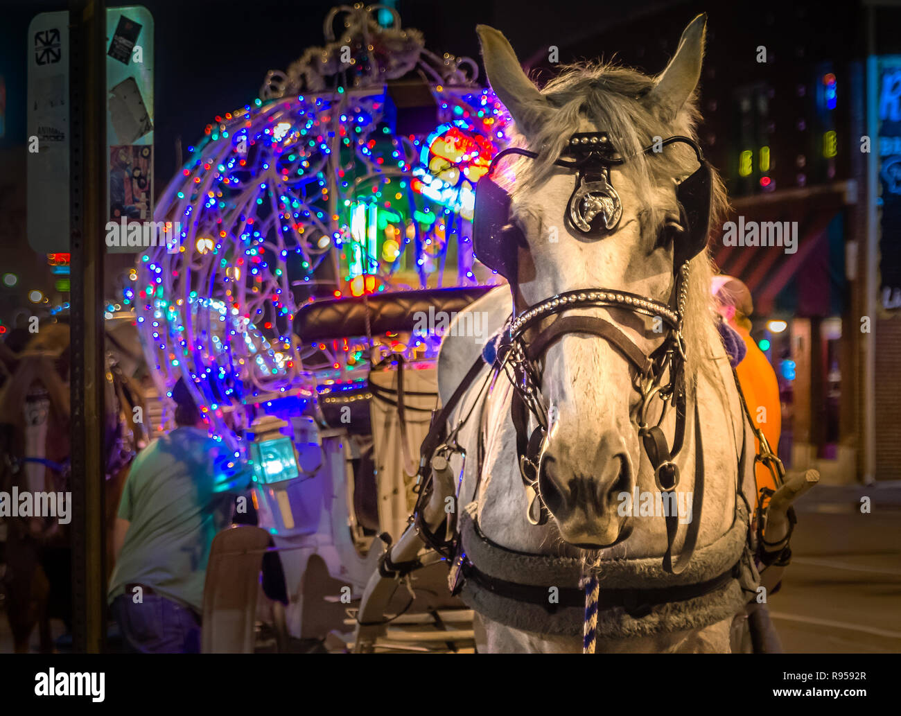 Un carrello appoggiato a cavallo durante l'attesa per il cliente successivo in Beale Street, Sett. 5, 2015, a Memphis, Tennessee. Foto Stock