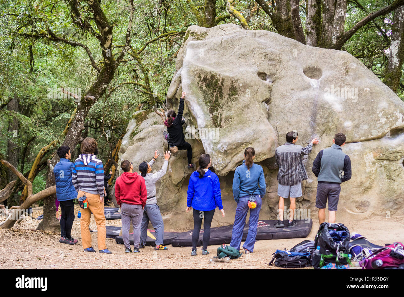 Febbraio 11, 2018 Los Gatos / CA / STATI UNITI D'AMERICA - gruppo di alpinisti praticando bouldering nelle foreste di Castle Rock State Park, Santa Cruz Mountains, Calif Foto Stock