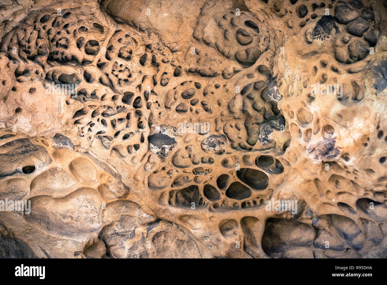 Arenaria erosa soffitto, Castle Rock State Park, Santa Cruz Mountains, California Foto Stock