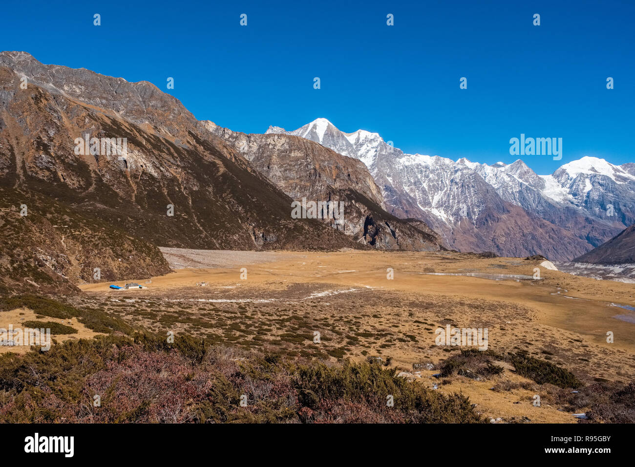 Pungyen Gompa, una gita dal circuito di Manaslu trek in Nepal Himalaya Foto Stock