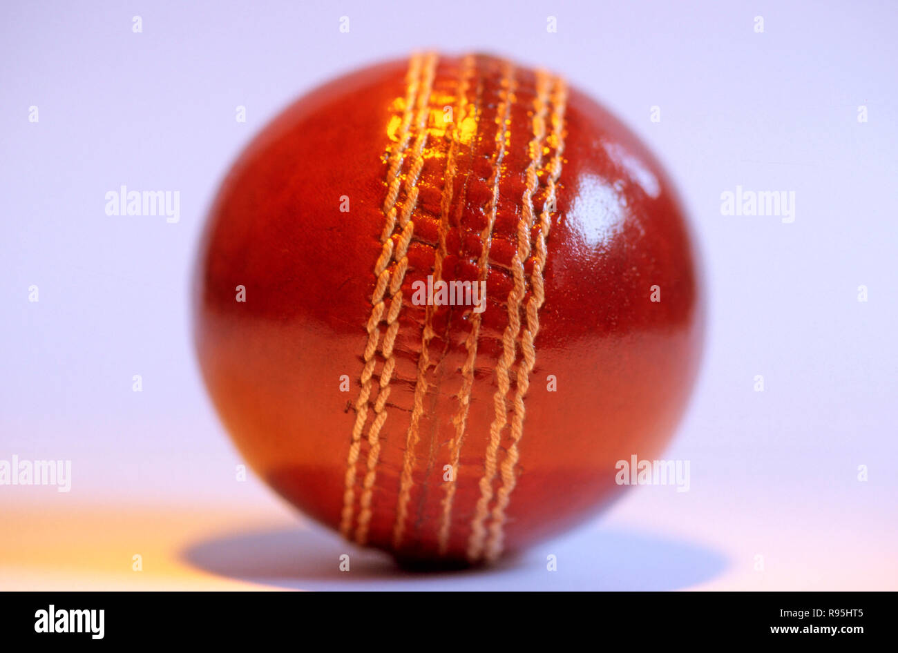 Cricket sfera su sfondo bianco Foto Stock