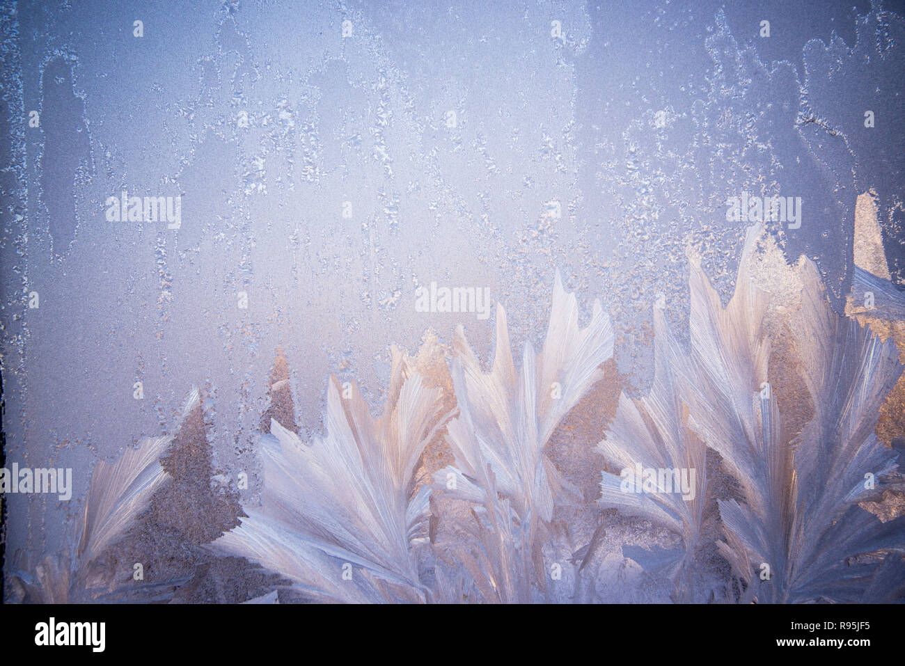 Frosty pattern sul vetro. Inverno Natale sfondo astratto. Vetro smerigliato sfondo di ghiaccio, naturali bellissimi fiocchi di neve. Foto Stock
