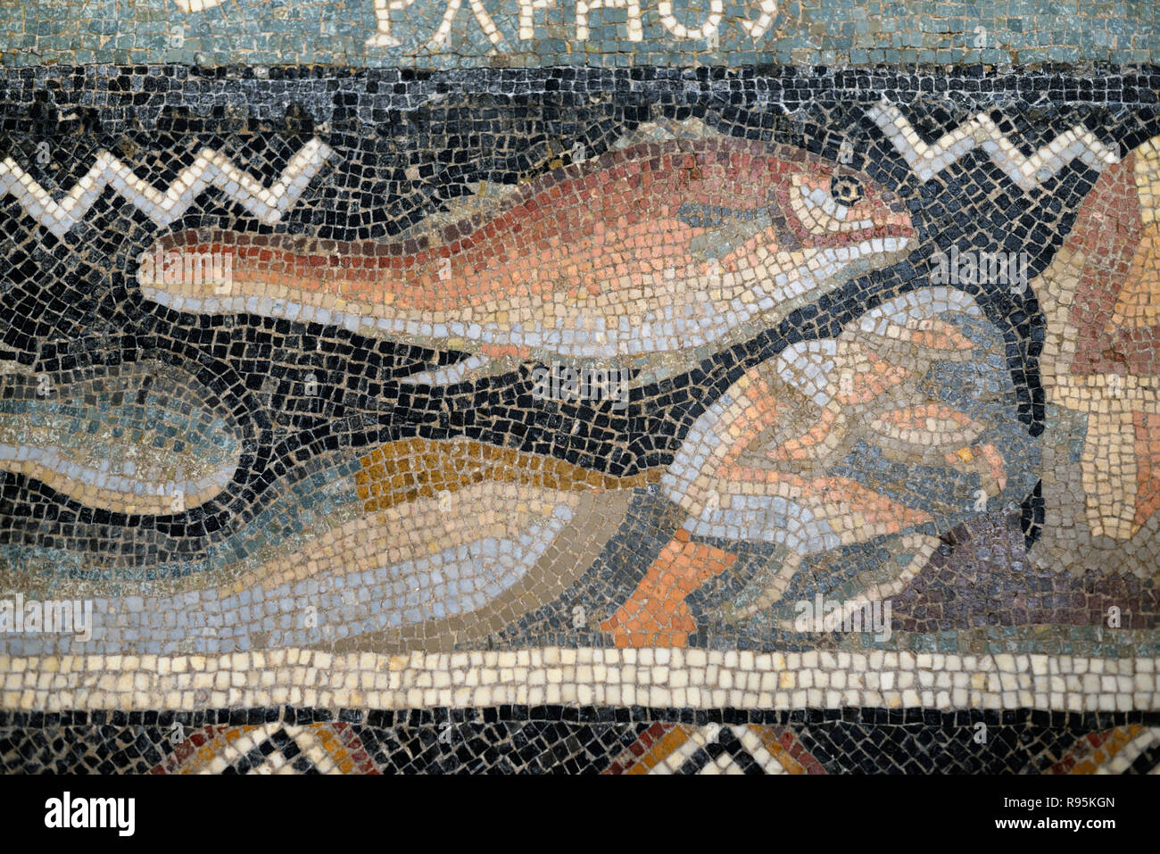 Dettaglio del pavimento romano mosaico (C3rd-c4th) di pesce sul fondale del Mediterraneo dalla antica città romana di Ammaedara Haidra in Tunisia Foto Stock