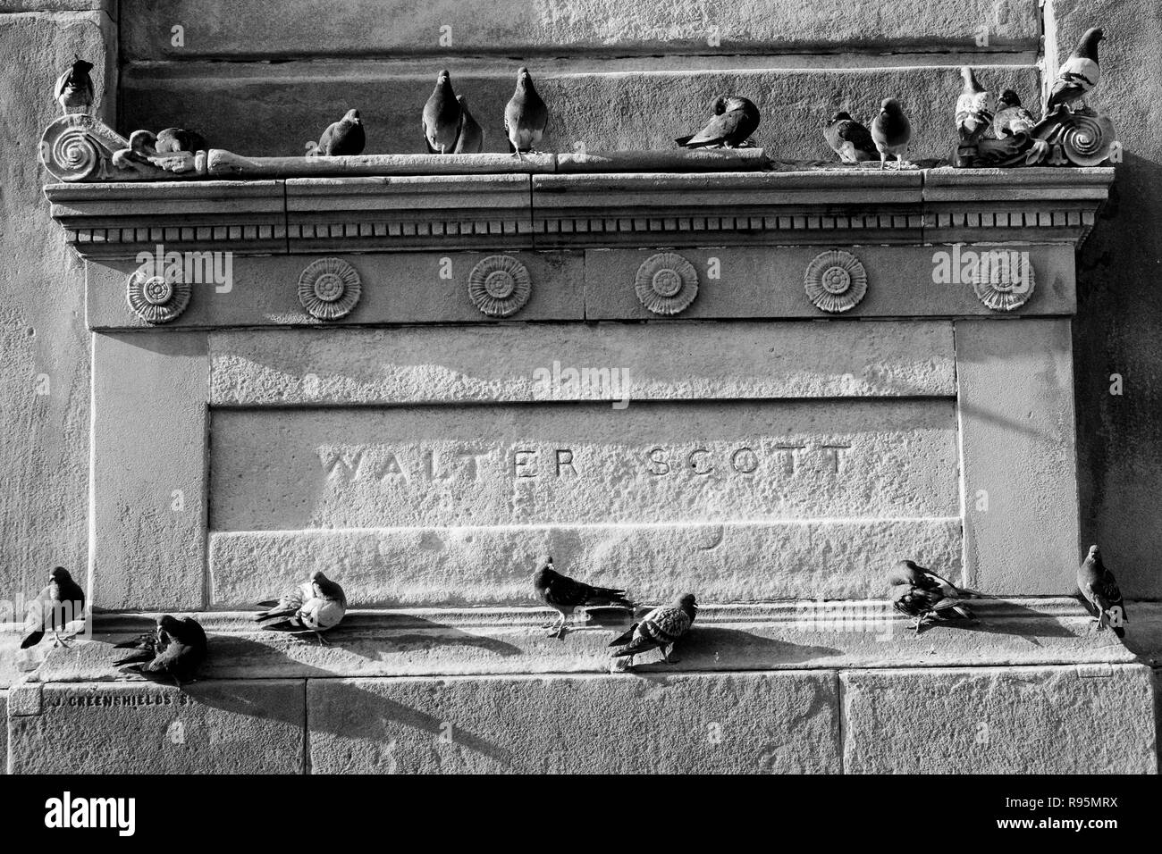 Glasgow, George Square, Walter Scott Monument piccioni appendere fuori Foto Stock