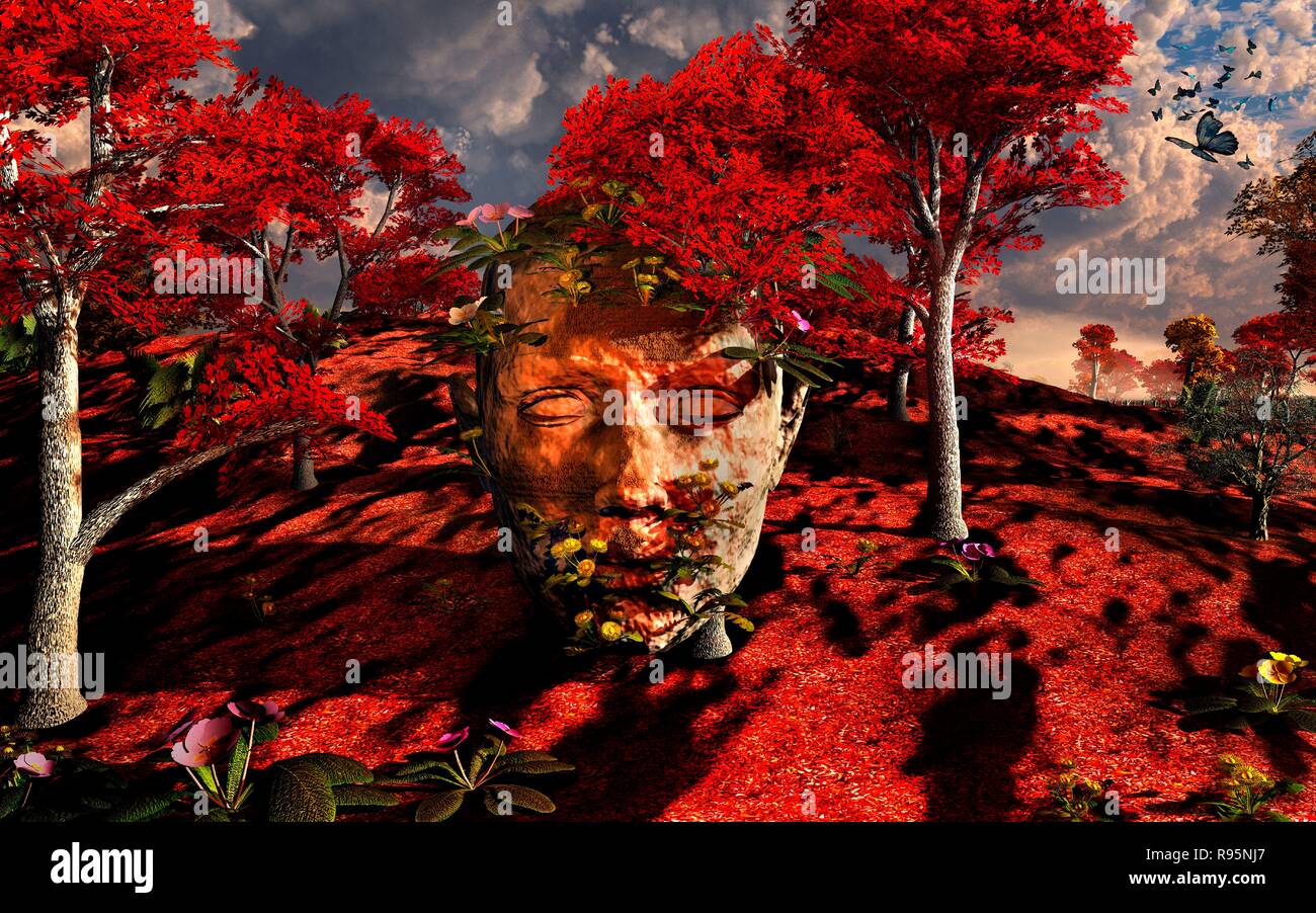 La faccia stagionale dell'autunno. Foto Stock