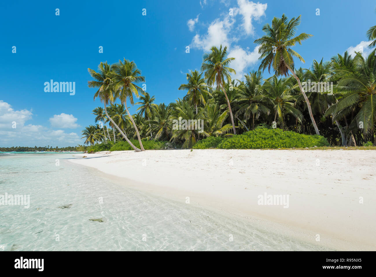 Traumstrand der Karibik, sogno spiaggia dei Caraibi Foto Stock