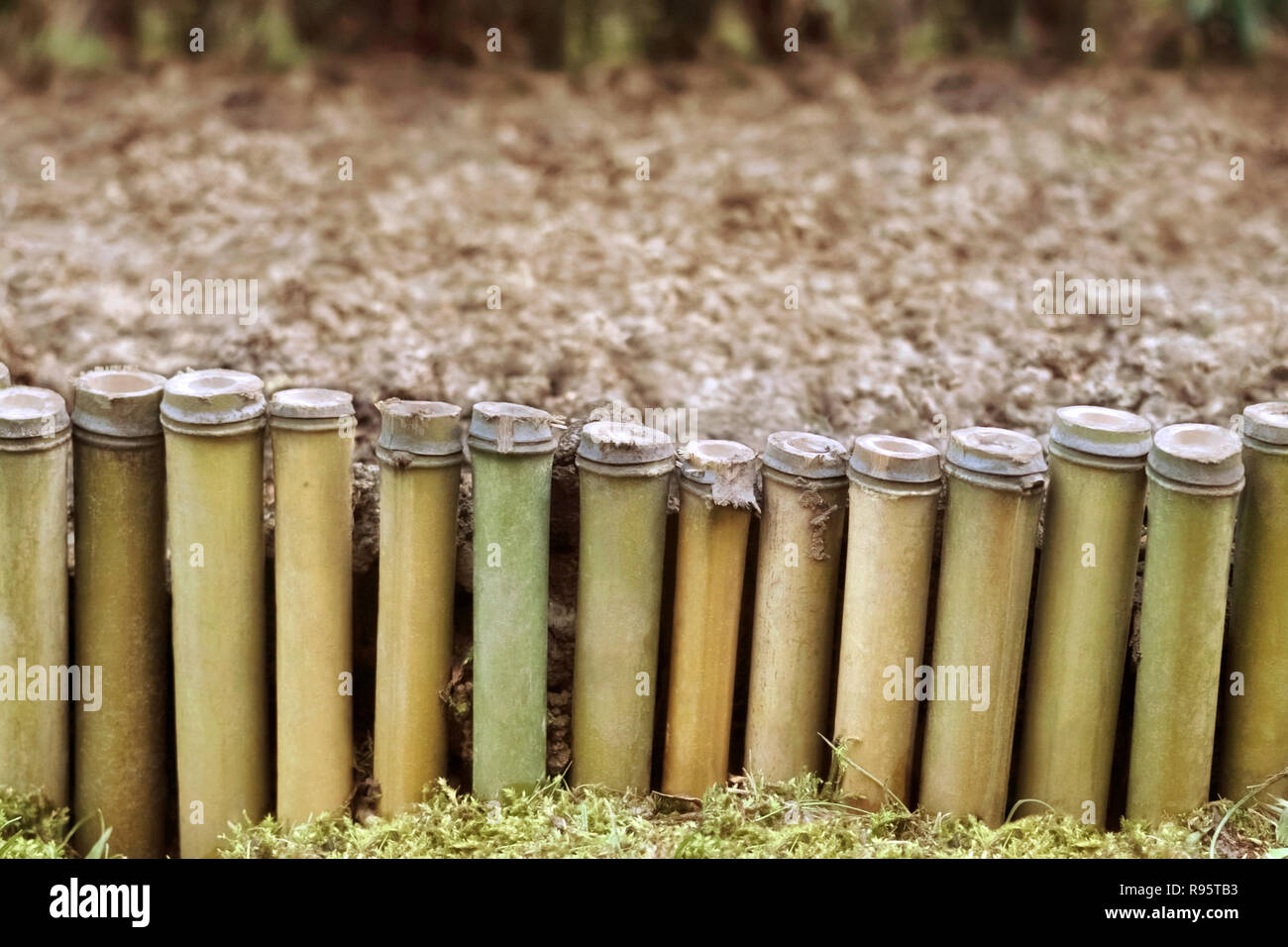 Recinzione bassa da reed intorno a un letto contro lo sfondo della terra uno sfondo Foto Stock