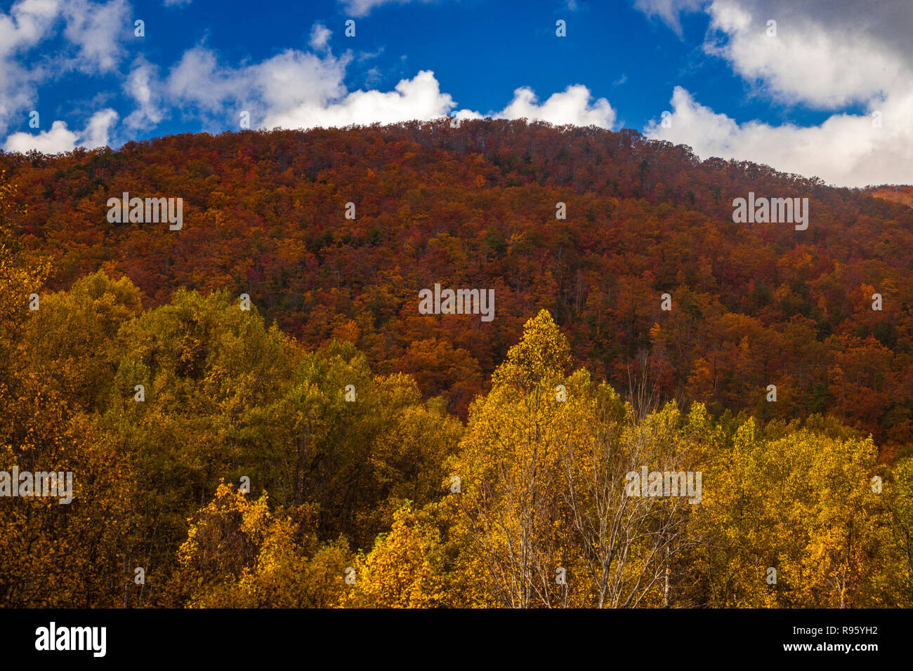 In autunno il Great Smoky Mountains Foto Stock