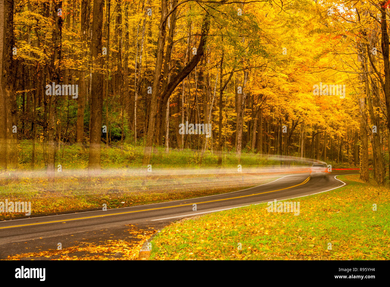 Strada tortuosa in autunno di Great Smoky Mountains Foto Stock