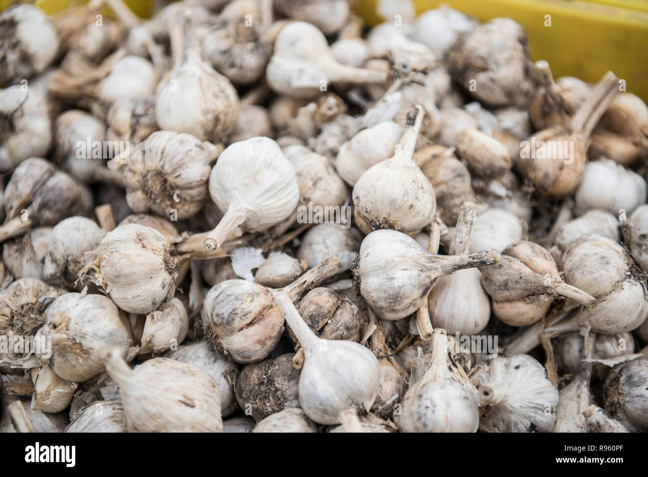 Frutta fresca e verdura vengano venduti al mercato su una mattina di occupato. La grande quantità di frutta e verdura un aspetto fresco e diverse varietà di Foto Stock