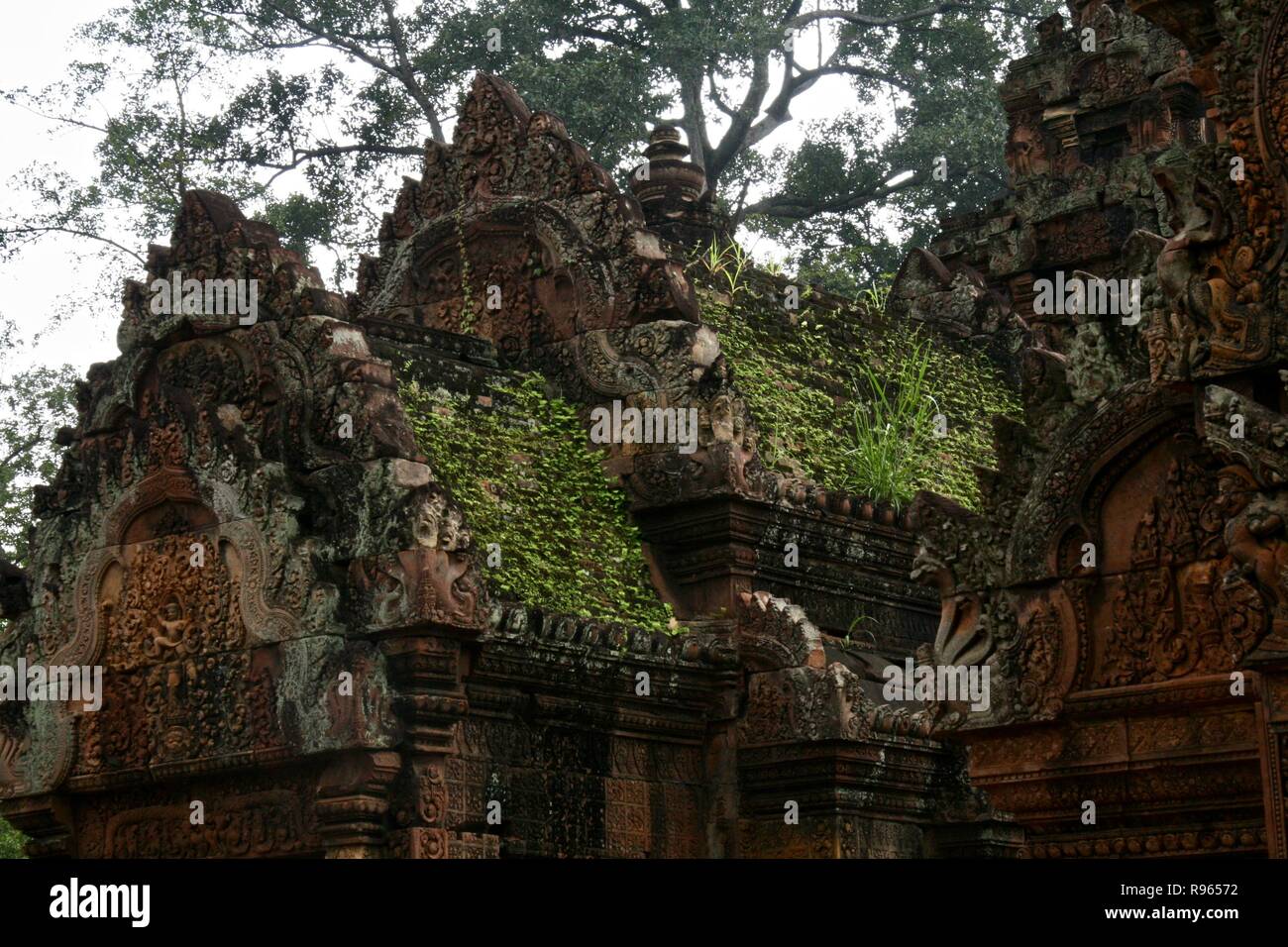 I tetti di rovine nella giungla in Cambogia verde con la nuova crescita Foto Stock