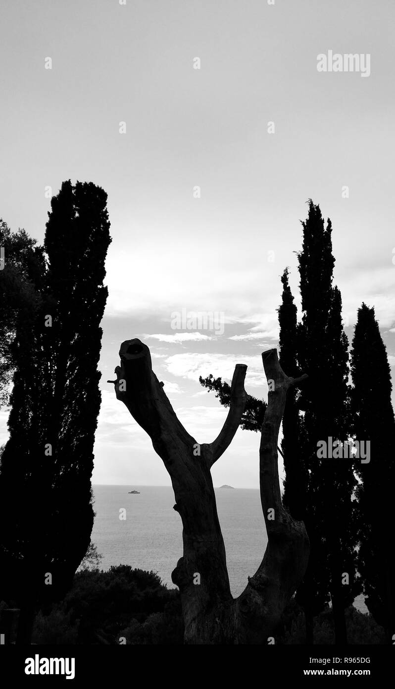 Buyukada isola street view. Buyukada è uno dei principi isole sul Mar di Marmara. Foto Stock