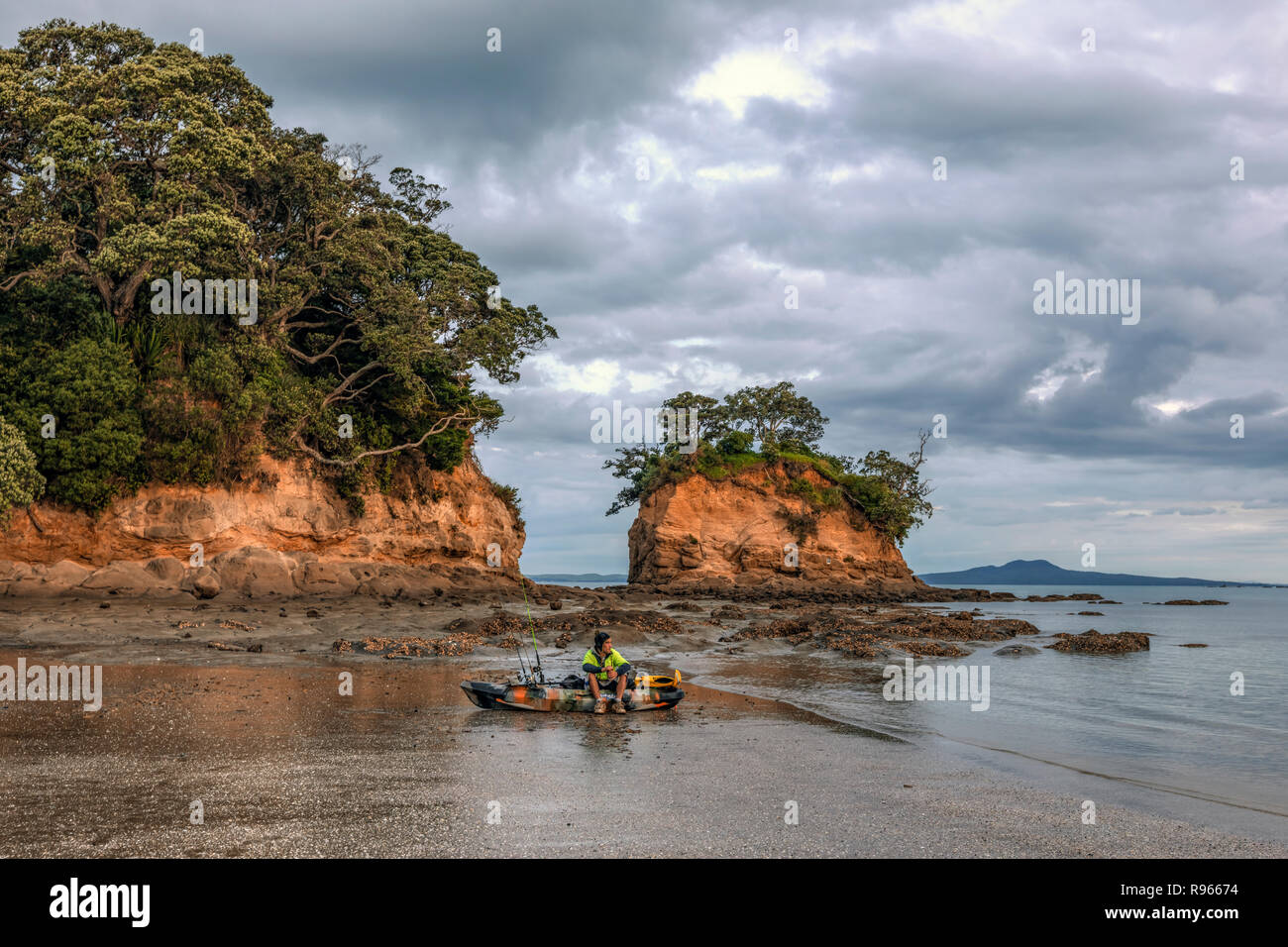 Waiake Bay, Auckland, Isola del nord, Nuova Zelanda Foto Stock