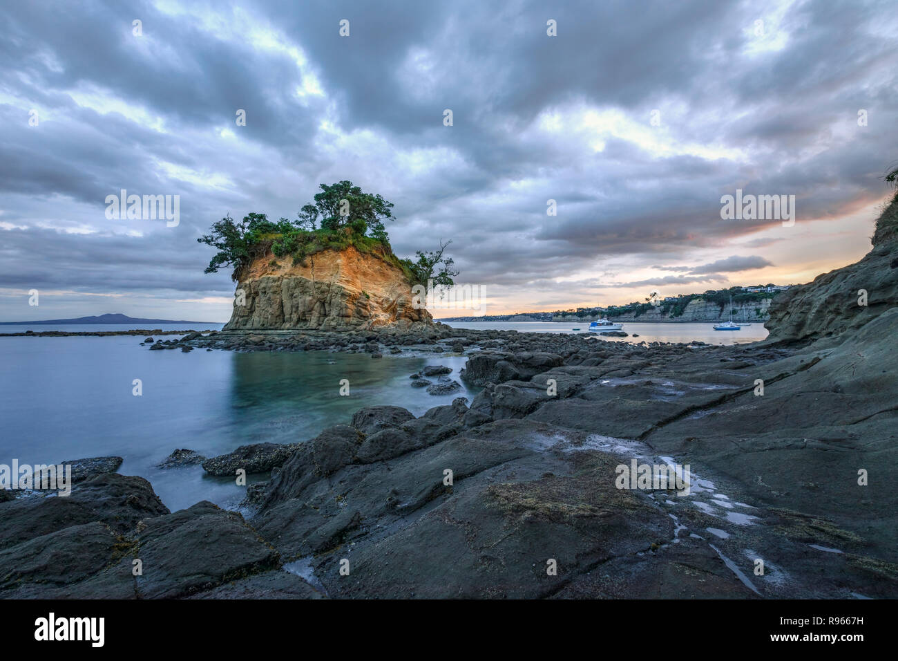 Waiake Bay, Auckland, Isola del nord, Nuova Zelanda Foto Stock