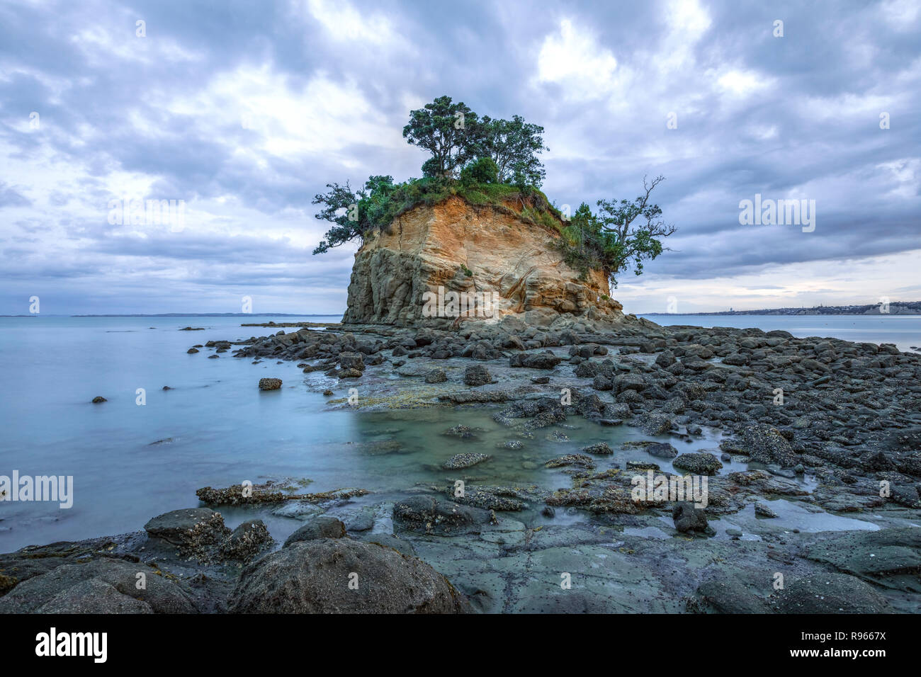 Waiake Bay, Auckland, Isola del nord, Nuova Zelanda Foto Stock