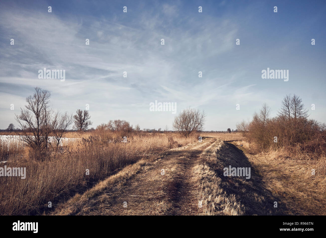 Paesaggio rurale con un percorso, dai toni di colore dell'immagine. Foto Stock