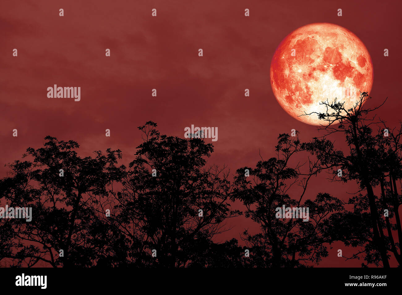 Rosso Sangue luna silhouette posteriore albero notte cielo rosso, elementi di questa immagine fornita dalla NASA Foto Stock