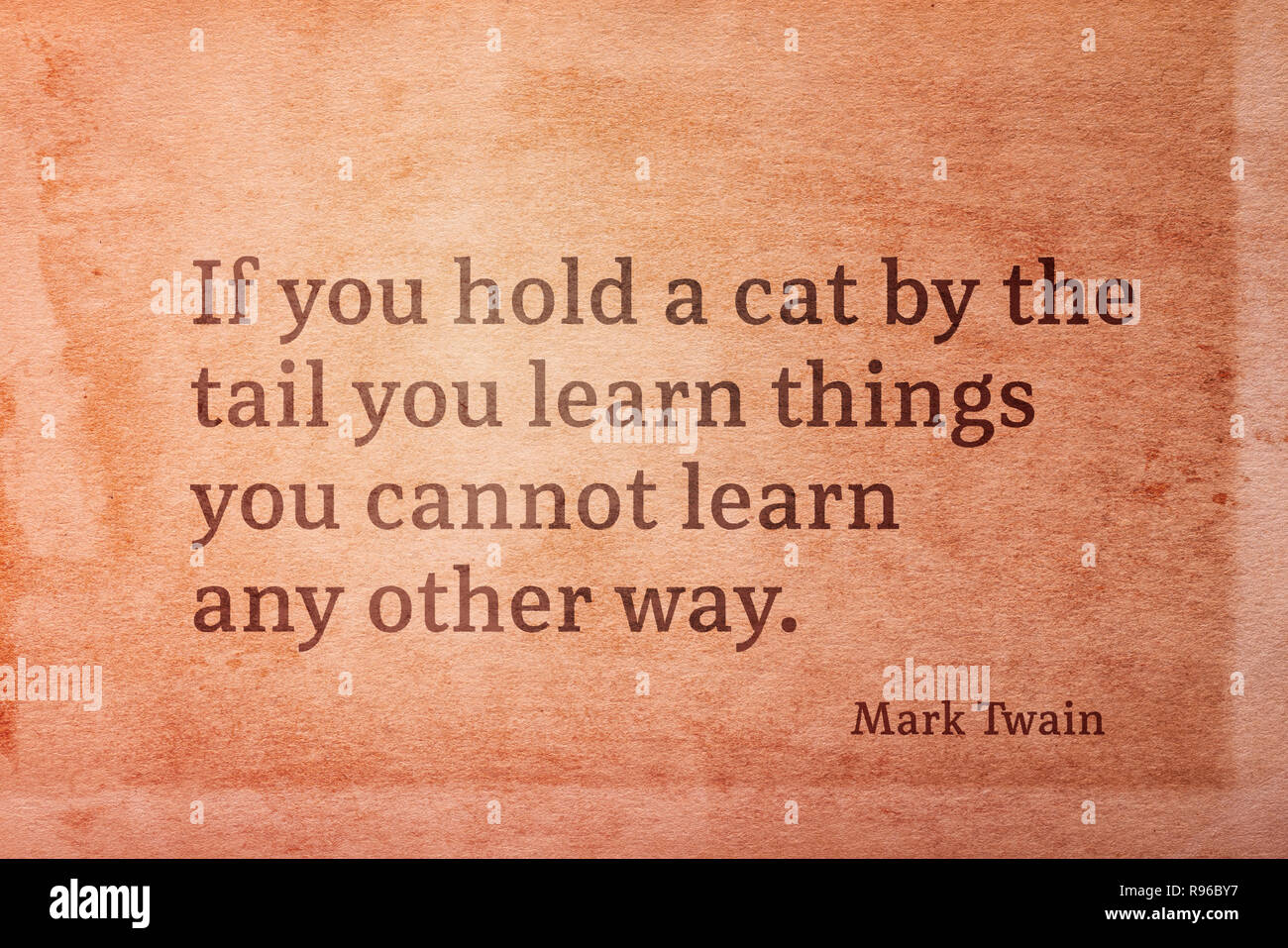 Se si tiene premuto un gatto dalla coda di imparare le cose che si possono imparare qualsiasi altro modo - famoso scrittore americano Mark Twain preventivo stampato su vintage grunge pape Foto Stock