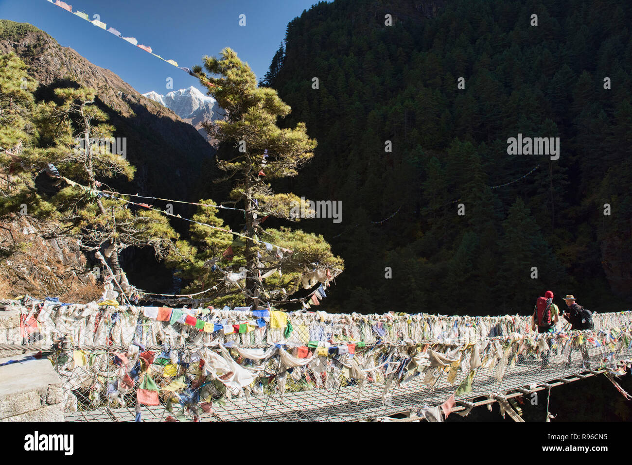 Ponte di sospensione al di sopra del Dudh Kosi, Campo Base Everest trek, Khumbu, in Nepal Foto Stock