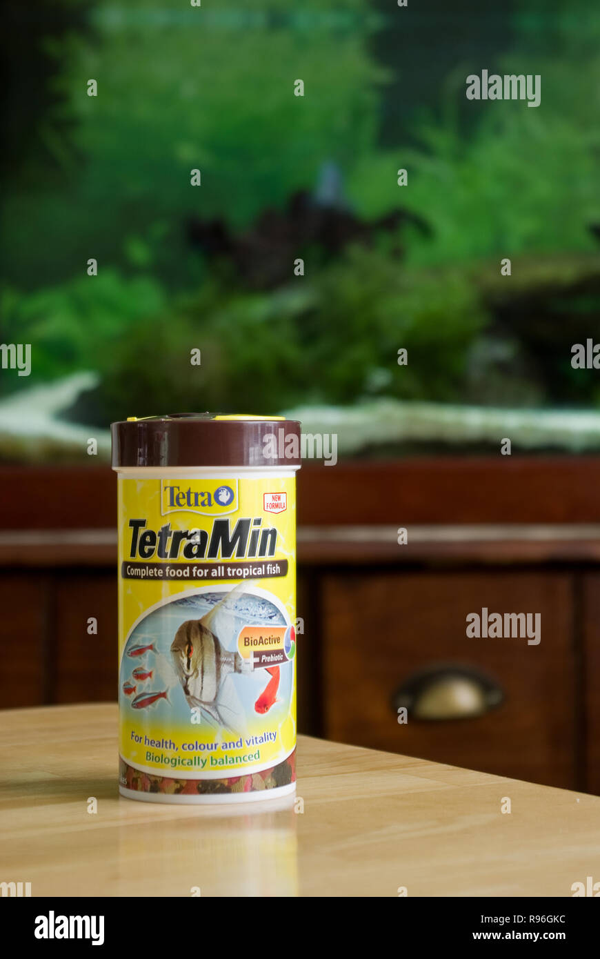 Tetra Tetramin tropicale pesce di acqua dolce cibo a scaglie Foto Stock