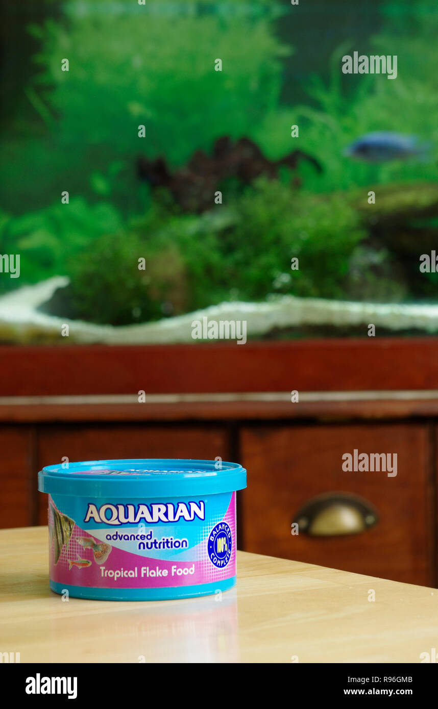 Aquarian Pet di acqua dolce tropicale di scaglie di pesce cibo, REGNO UNITO Foto Stock