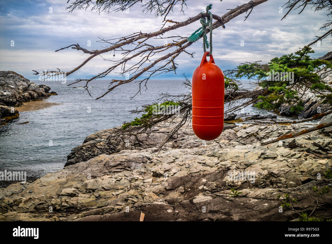 Una barca appendere sul parafango sulla struttura ad albero del porto d'anatra Isle au Haut Foto Stock