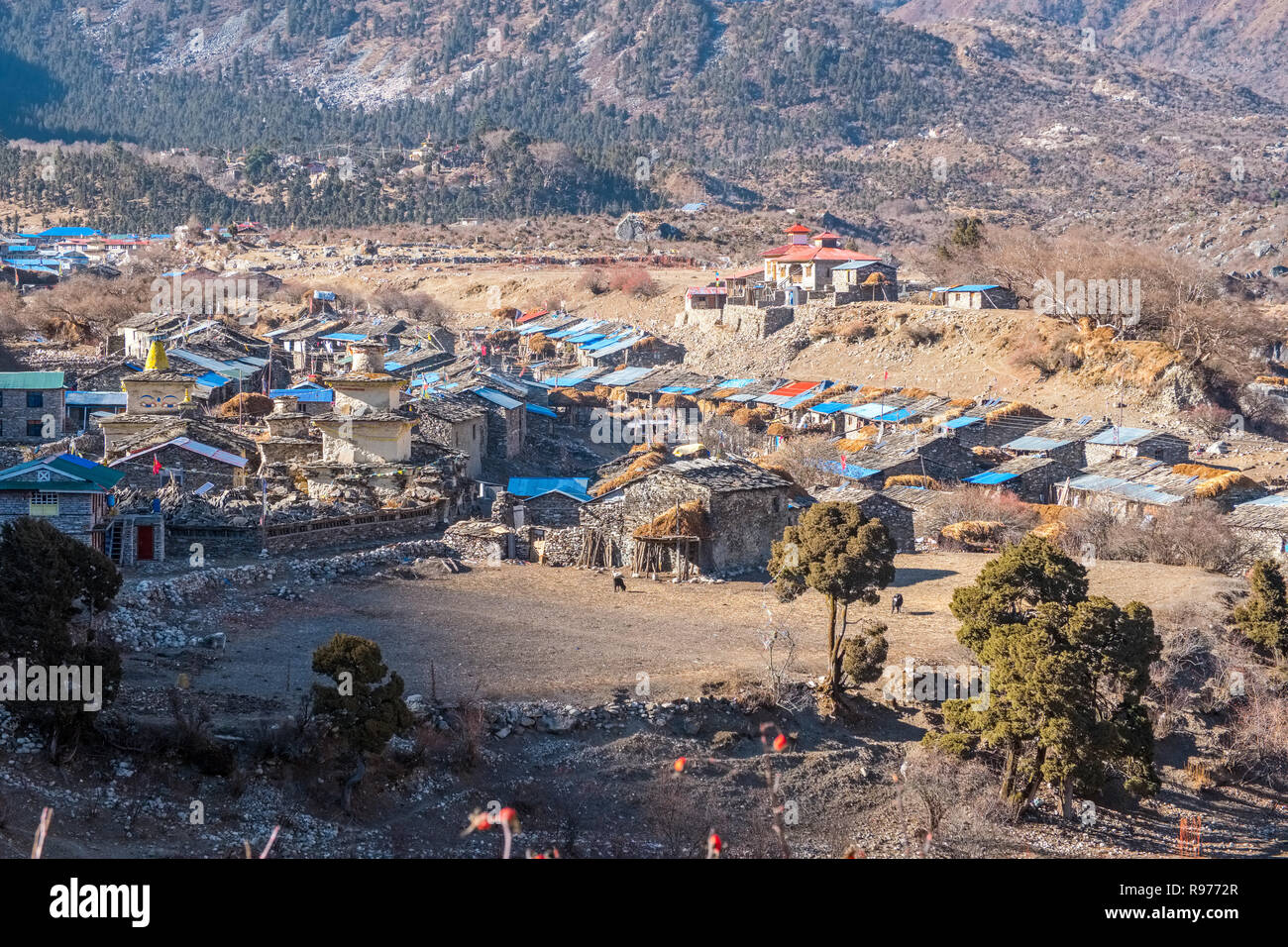 Samagao / Samagaun un etnico tibetano Village si trova sul circuito di Manaslu percorso di trekking in Nepal Himalaya Foto Stock