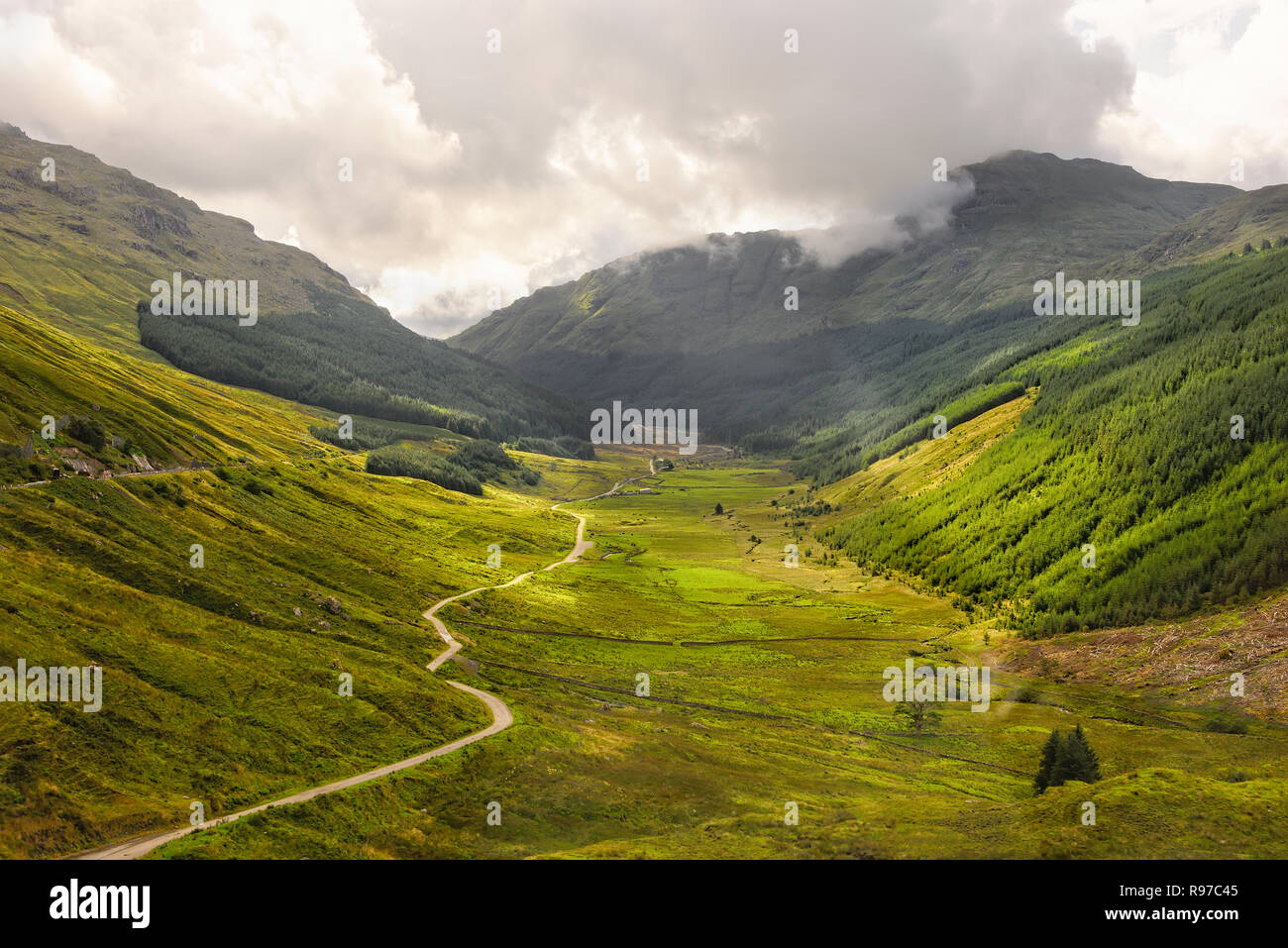 Vista panoramica di Argyll Forest Park nelle Highlands della Scozia Foto Stock