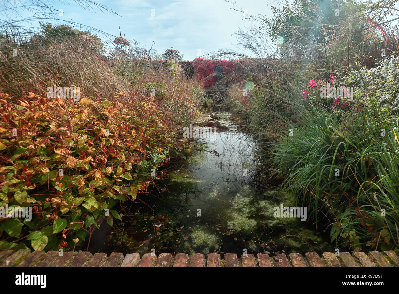 Stagno in un giardino pieno di colori autunnali da qualche parte nei Paesi Bassi Foto Stock