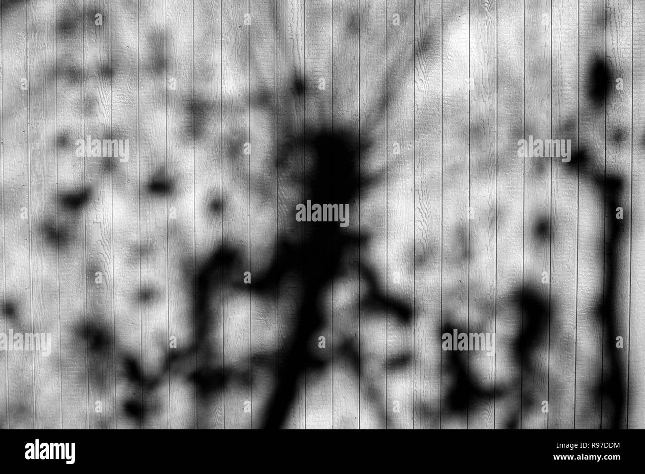 La luce del sole attraverso tree creazione astratta di modelli su giallo schierandosi in legno Foto Stock