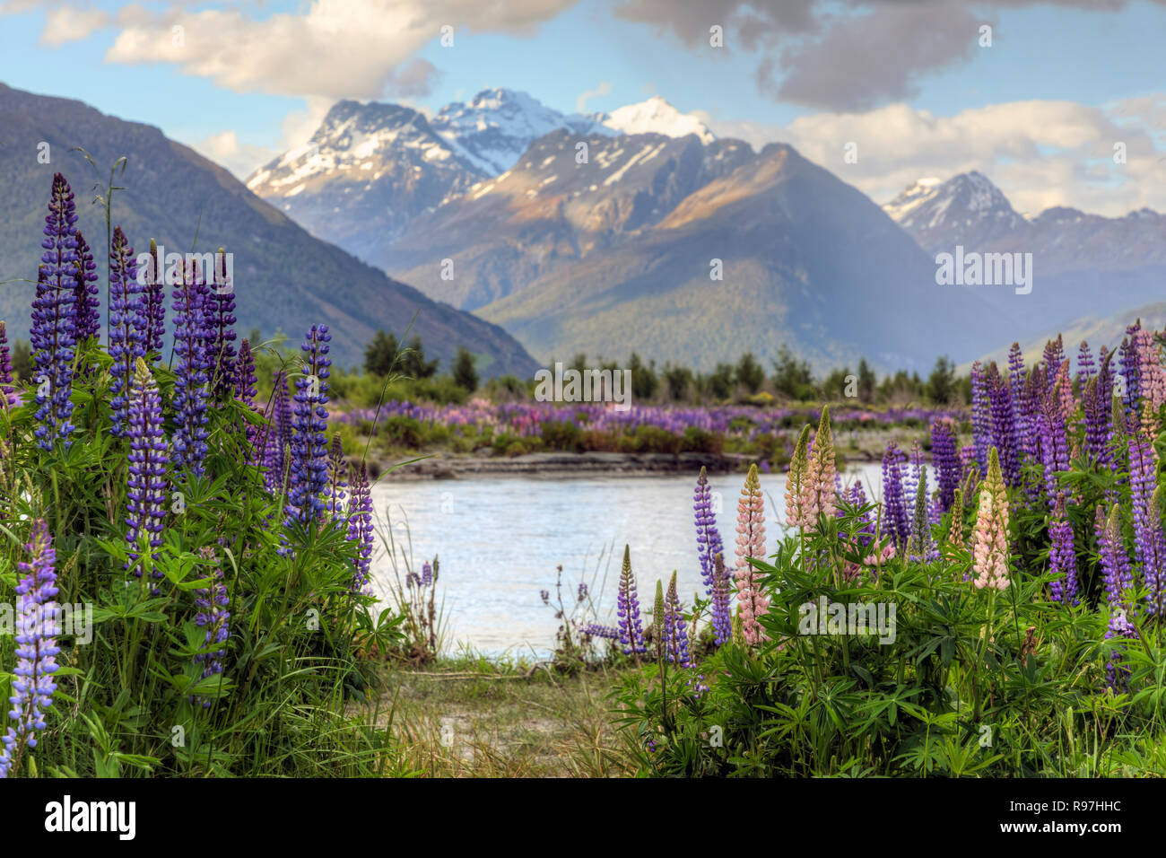 Glenorchy, sul lago Wakatipu, Otaga, Isola del Sud, Nuova Zelanda Foto Stock