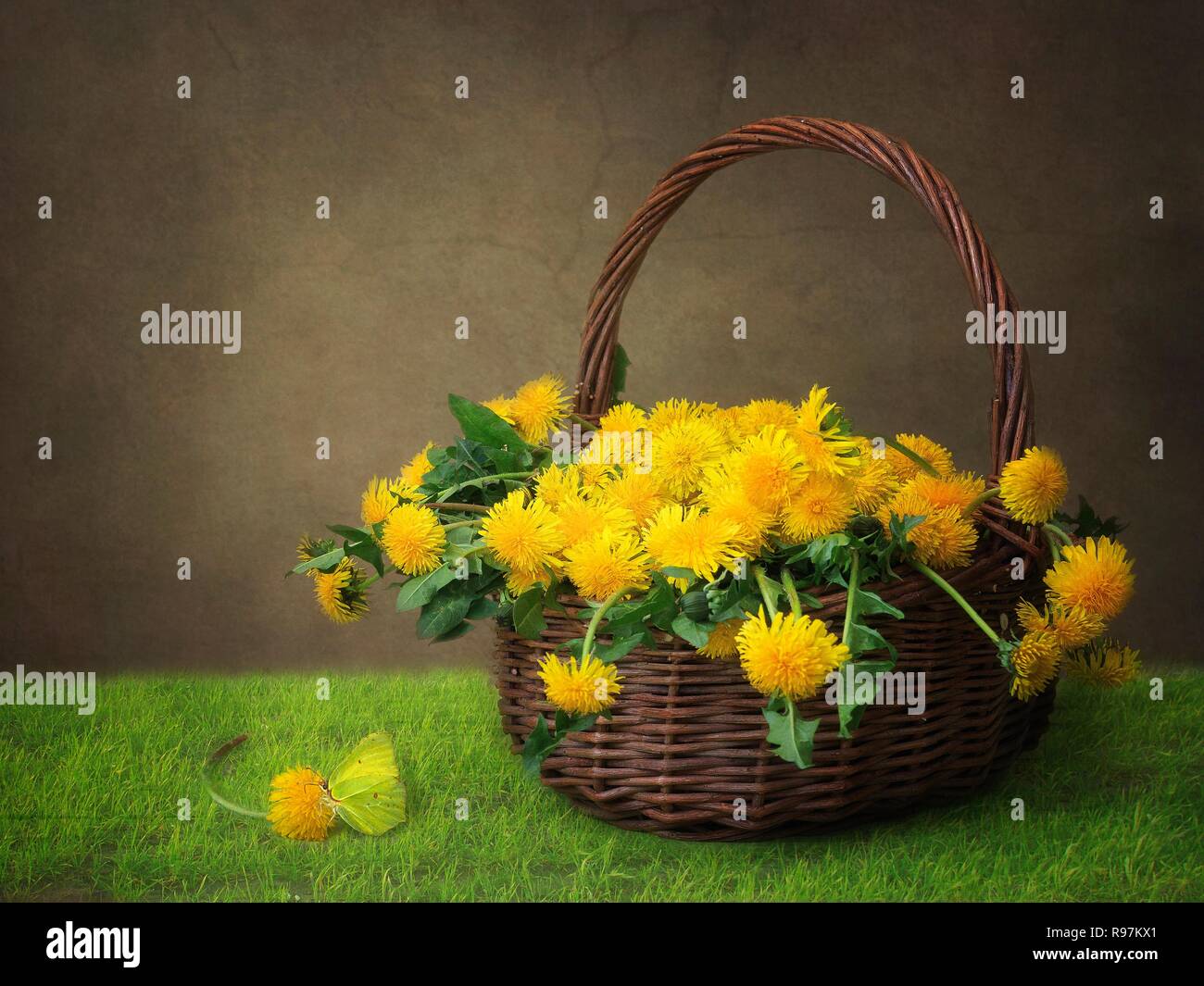 Ancora in vita con bouquet di fiori di dente di leone Foto Stock
