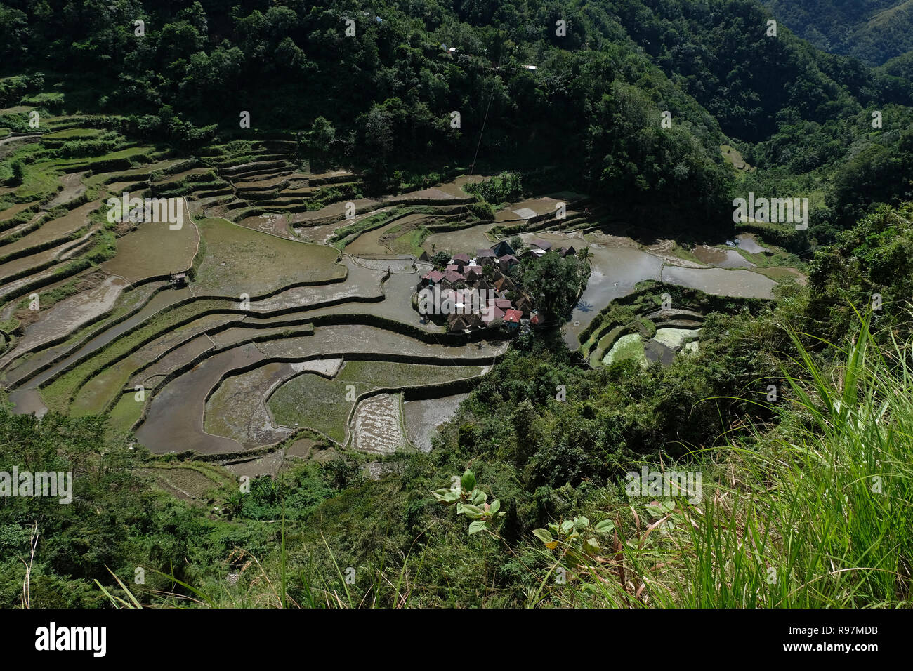 Vista dei terrazzi di riso e la cordigliera Banga-An il villaggio del popolo Ifugao, iscritto nella Lista del Patrimonio Mondiale dell'UNESCO situato nell'isola di Luzon nelle Filippine, Foto Stock