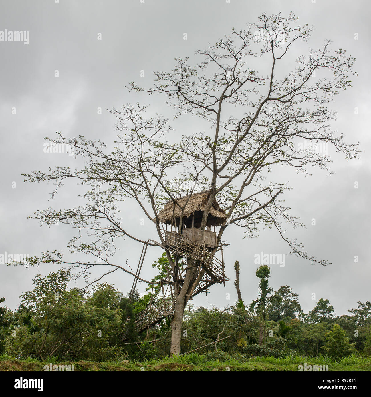 Semplice tree house di bambù nel villaggio Mawlynnong, nello stato di Meghalaya, India Foto Stock