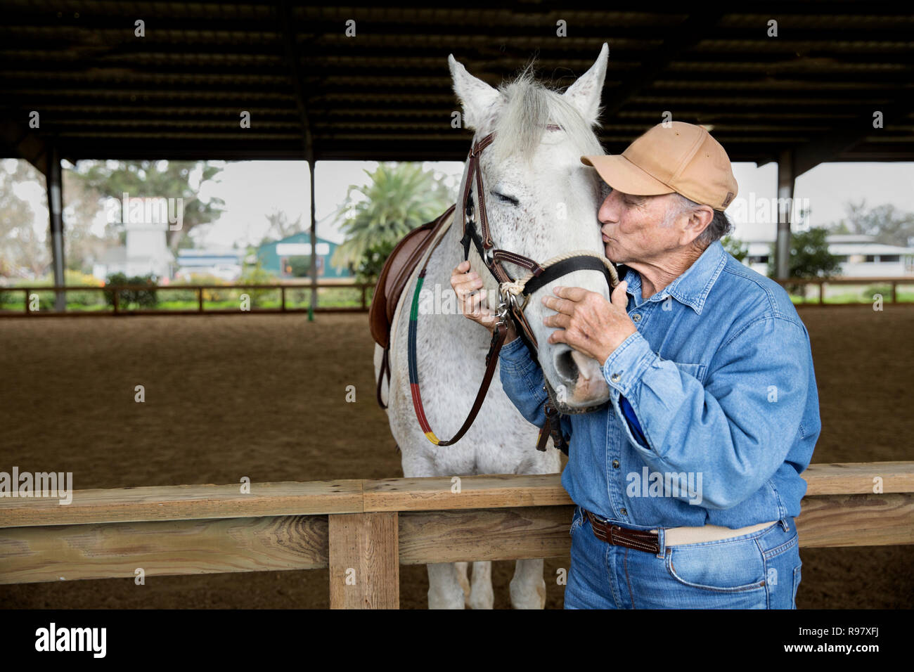 Senior uomo baciare il suo cavallo Foto Stock