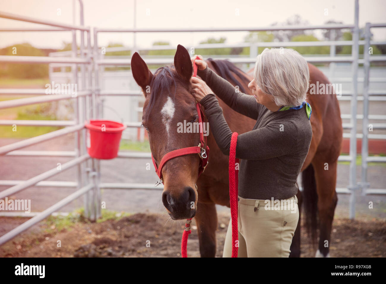 Senior petting Donna cavallo su ranch Foto Stock
