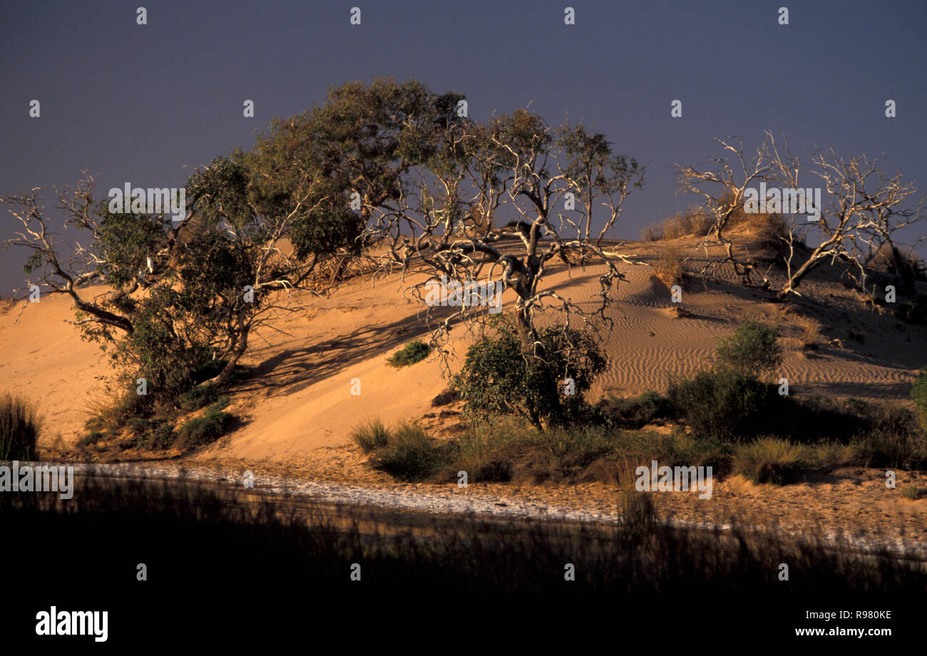 Vista lungo l'Oodnadatta Track IN OUTBACK Australia del Sud Foto Stock