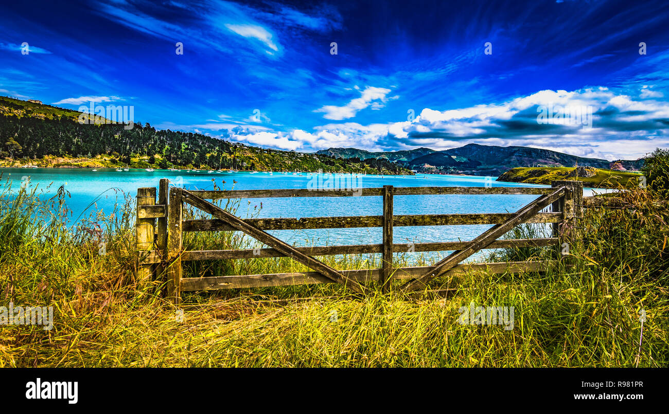 Alloggiamenti di Canterbury in Nuova Zelanda Foto Stock