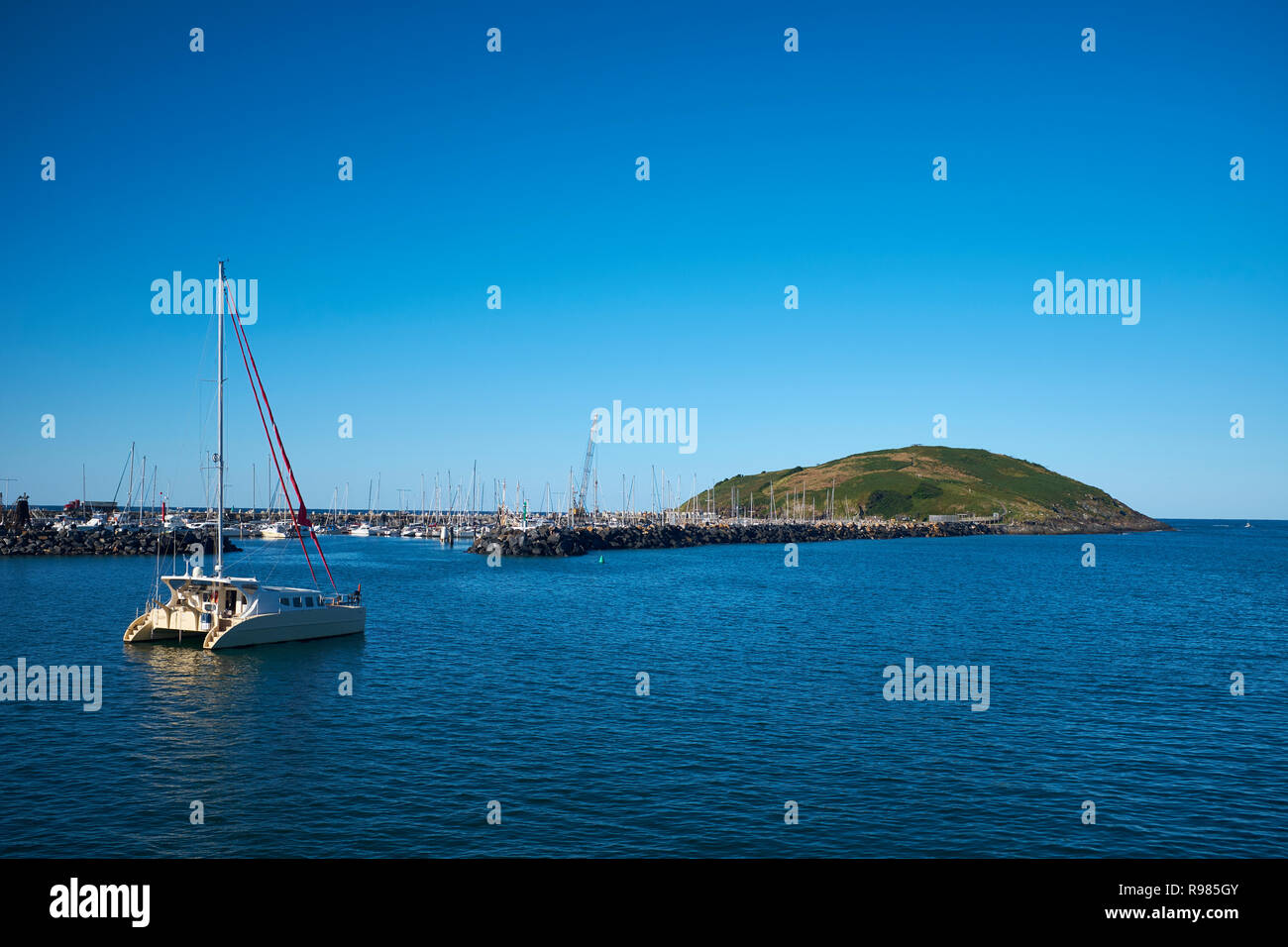 Un singolo yacht ormeggiati vicino all'entrata di Coffs harbour marina internazionale con Muttonbird isola riserva naturale in background, NSW, Australia Foto Stock