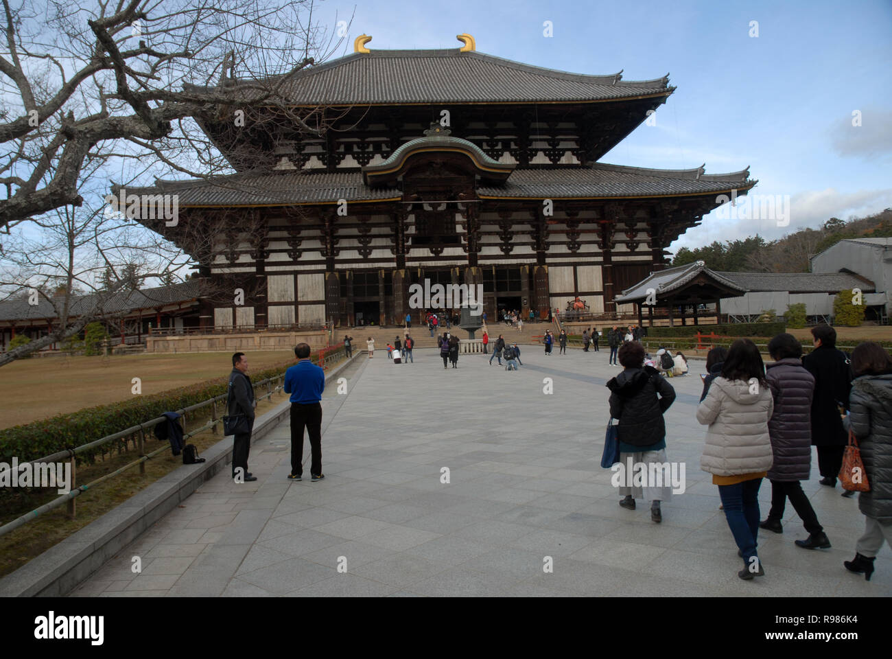 Il Parco di Nara, Nara, Giappone. Foto Stock