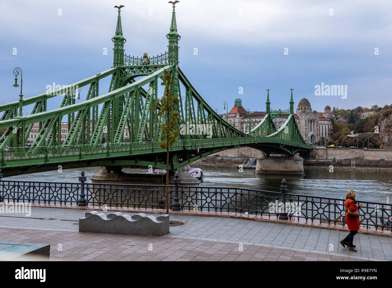 Il Ponte della Catena, Budapest Foto Stock