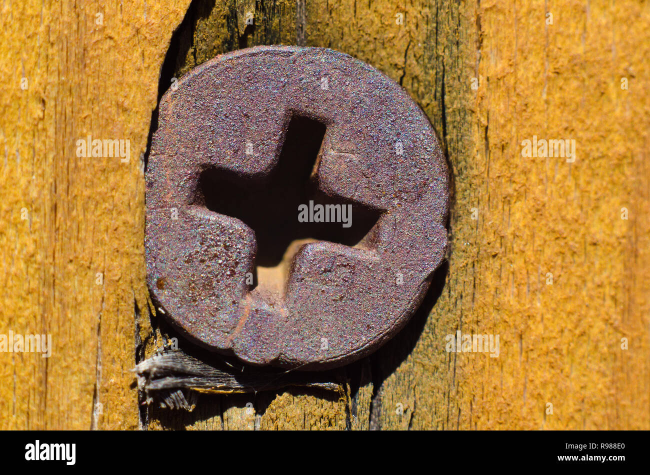 La vecchia vite in un asse di legno Foto Stock