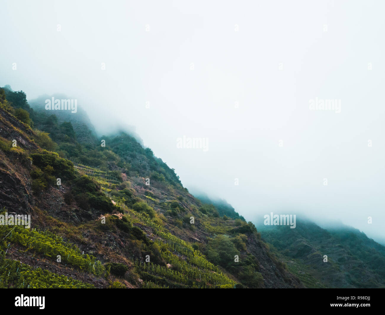 Moody paesaggio: terreno collinare con verde bosco coperto di nuvole e nebbia Foto Stock