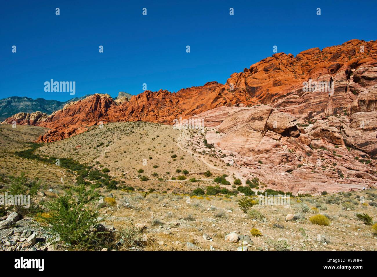 Nevada, Las Vegas Red Rock National Conservation Area, calicò colline a sud si affacciano Foto Stock