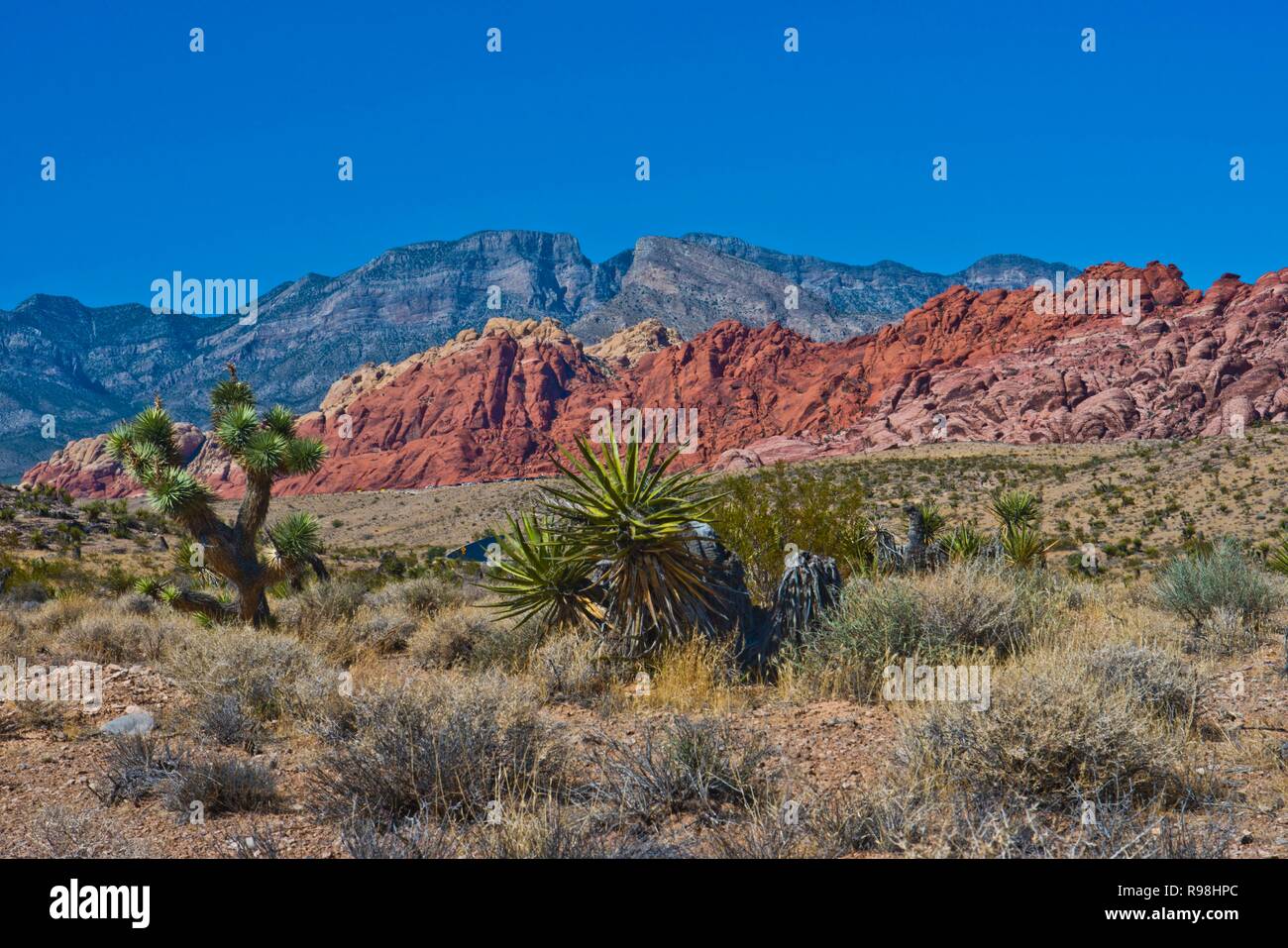 Nevada, Las Vegas Red Rock National Conservation Area, calicò colline a nord Foto Stock