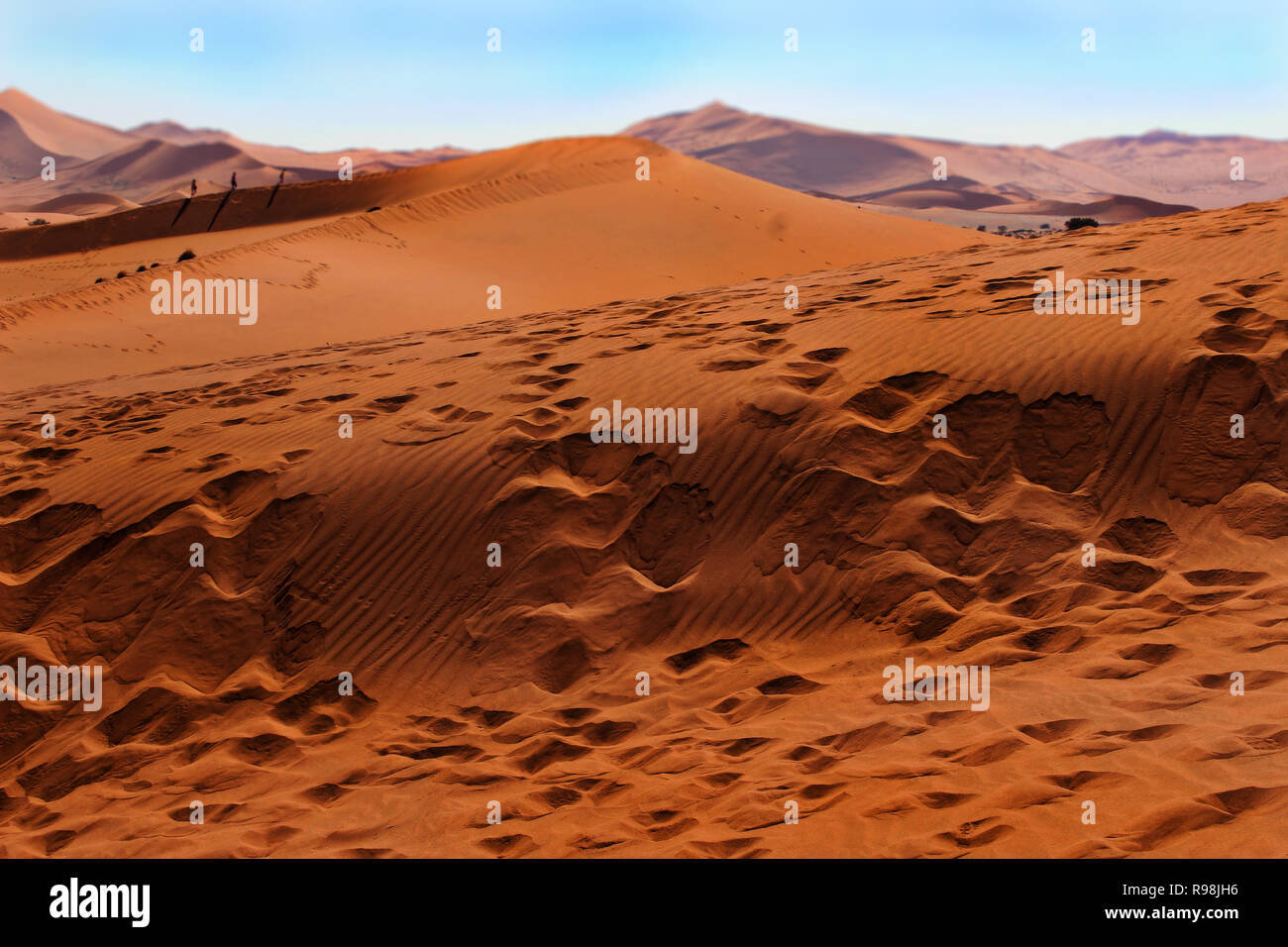Piedi stampe su red daddy grande duna, Namib Desert, sfondo sfocato, Namibia Foto Stock